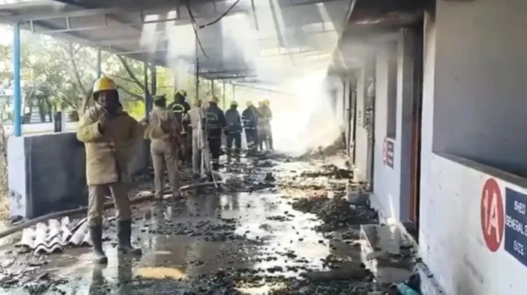 At least 25 killed in deadly blast at fireworks factory in southern India kills 23