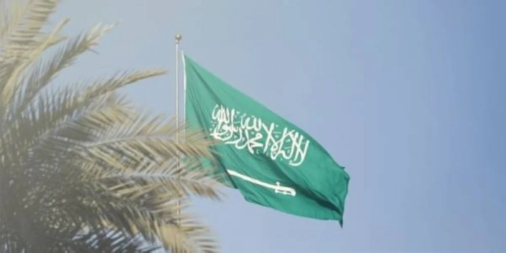 Saudi Arabia backs UAE after foiled terror plot