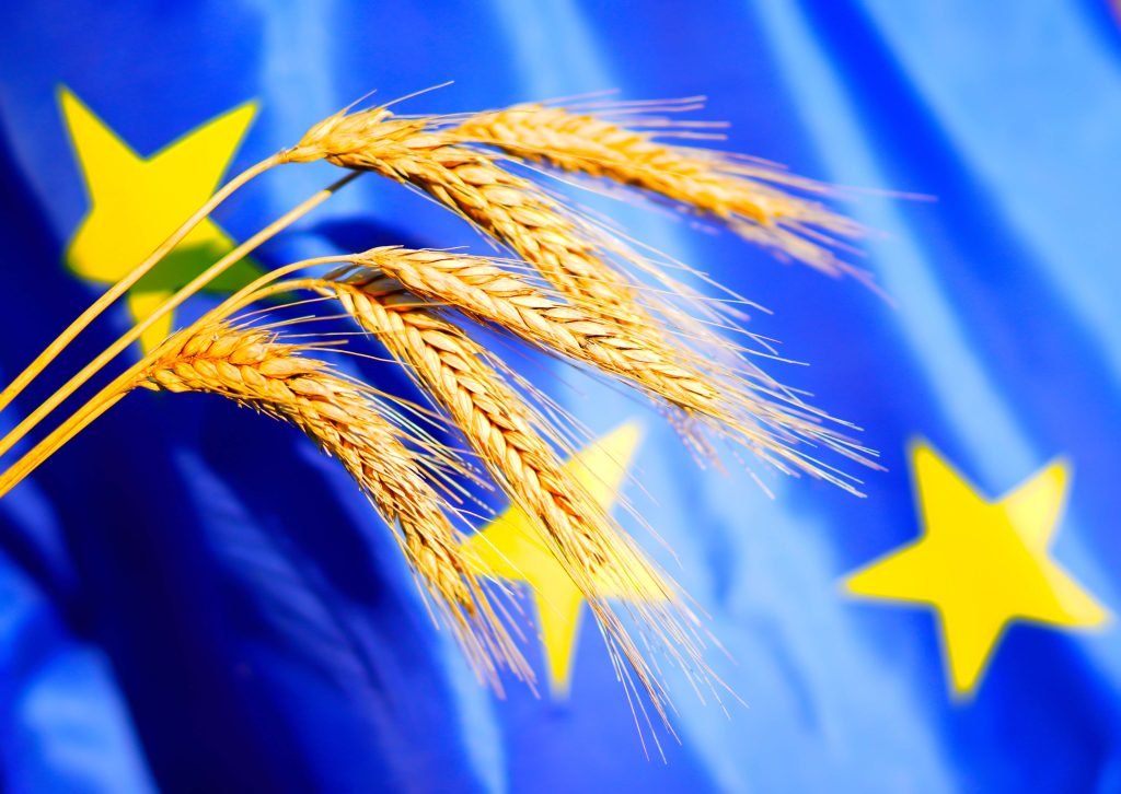 European wheat prices fall for third session on ample global supply