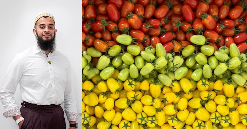 New farm in Al Ain to produce 150,000 kgs of fresh tomatoes using latest tech tools