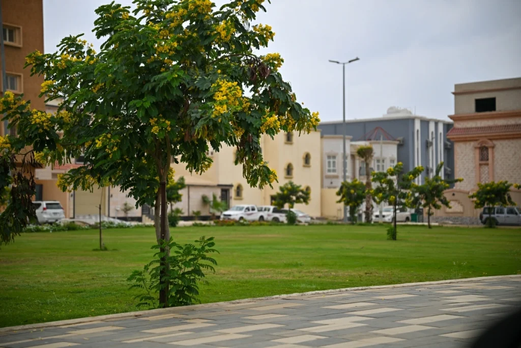 Saudi Arabia approves vacant property fee regulations to boost housing supply