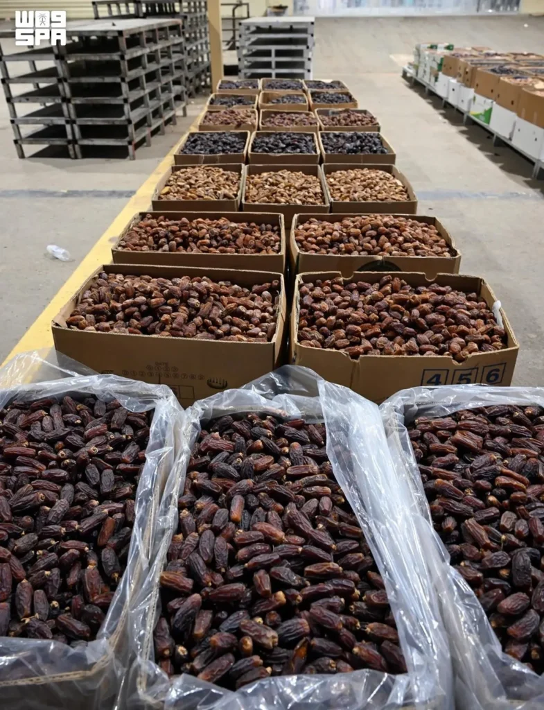 Madinah region ranks 3rd in Saudi date production with 344,000 tons annually