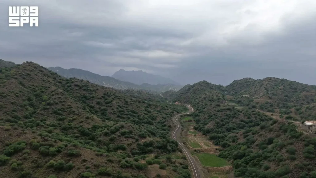 Heavy rain, thunderstorms forecast across southwestern Saudi Arabia through Saturday