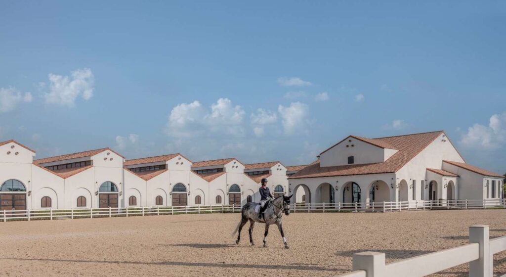 Abu Dhabi Equestrian Club, Abu Dhabi Turf Club to showcase future of equestrian sport at ADIHEX 2026