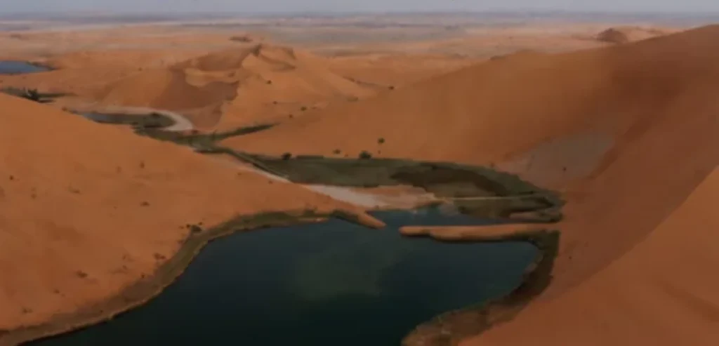 Saudi Arabia approves 4,310-square-kilometer nature reserve near Riyadh